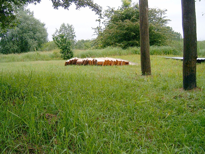 20100604 012.jpg